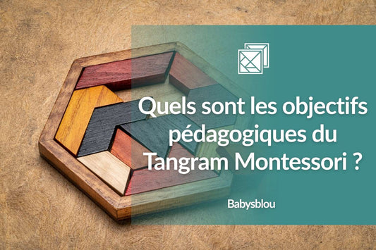 Quels sont les objectifs pédagogiques du Tangram Montessori ? - BABYSBLOU