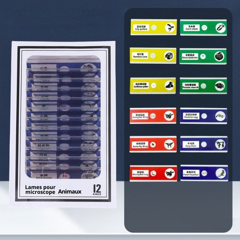 Lames pour microscope - SpeciKids™ - BABYSBLOU