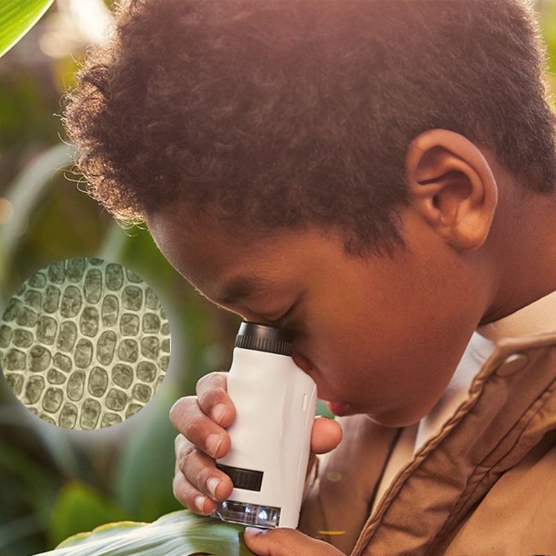 Microscope de poche - OptiKidsâą - BABYSBLOU