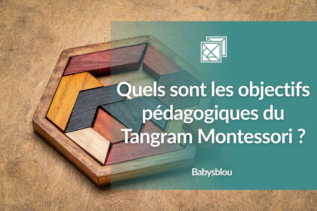 Quels sont les objectifs pédagogiques du Tangram Montessori ? - BABYSBLOU