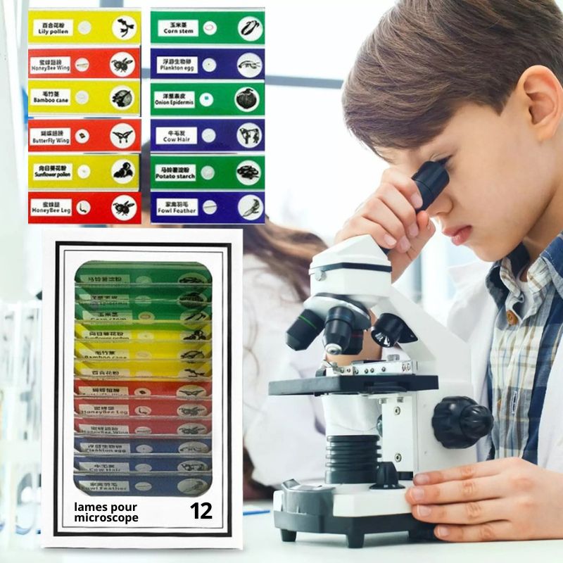 Lames pour microscope - SpeciKids™ - BABYSBLOU