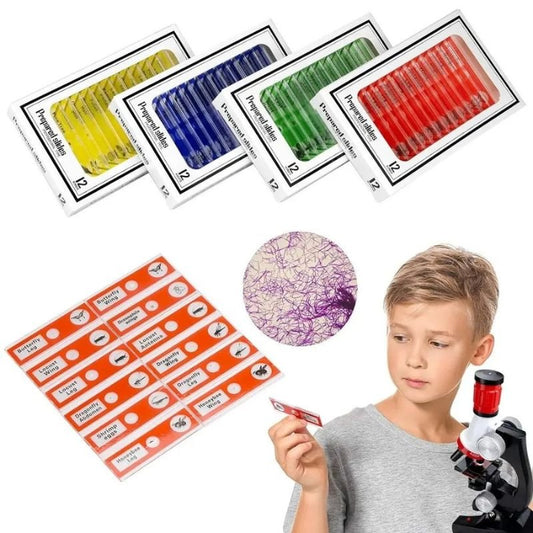 Lames pour microscope - SpeciKids™ - BABYSBLOU