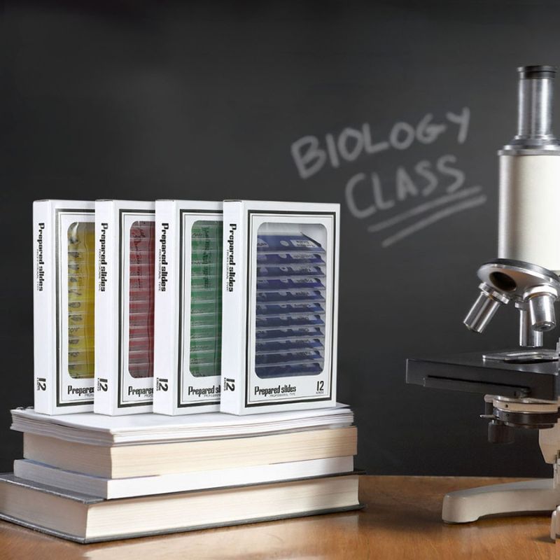 Lames pour microscope - SpeciKids™ - BABYSBLOU