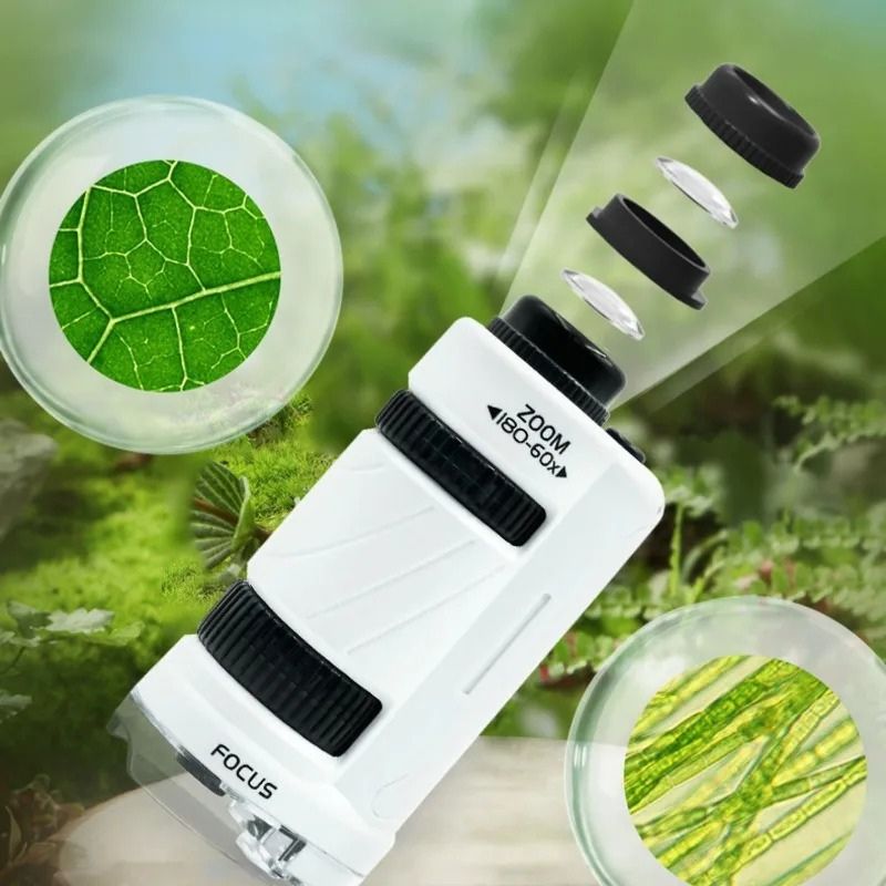 Microscope portable pour enfant - OptiZoom™ - BABYSBLOU